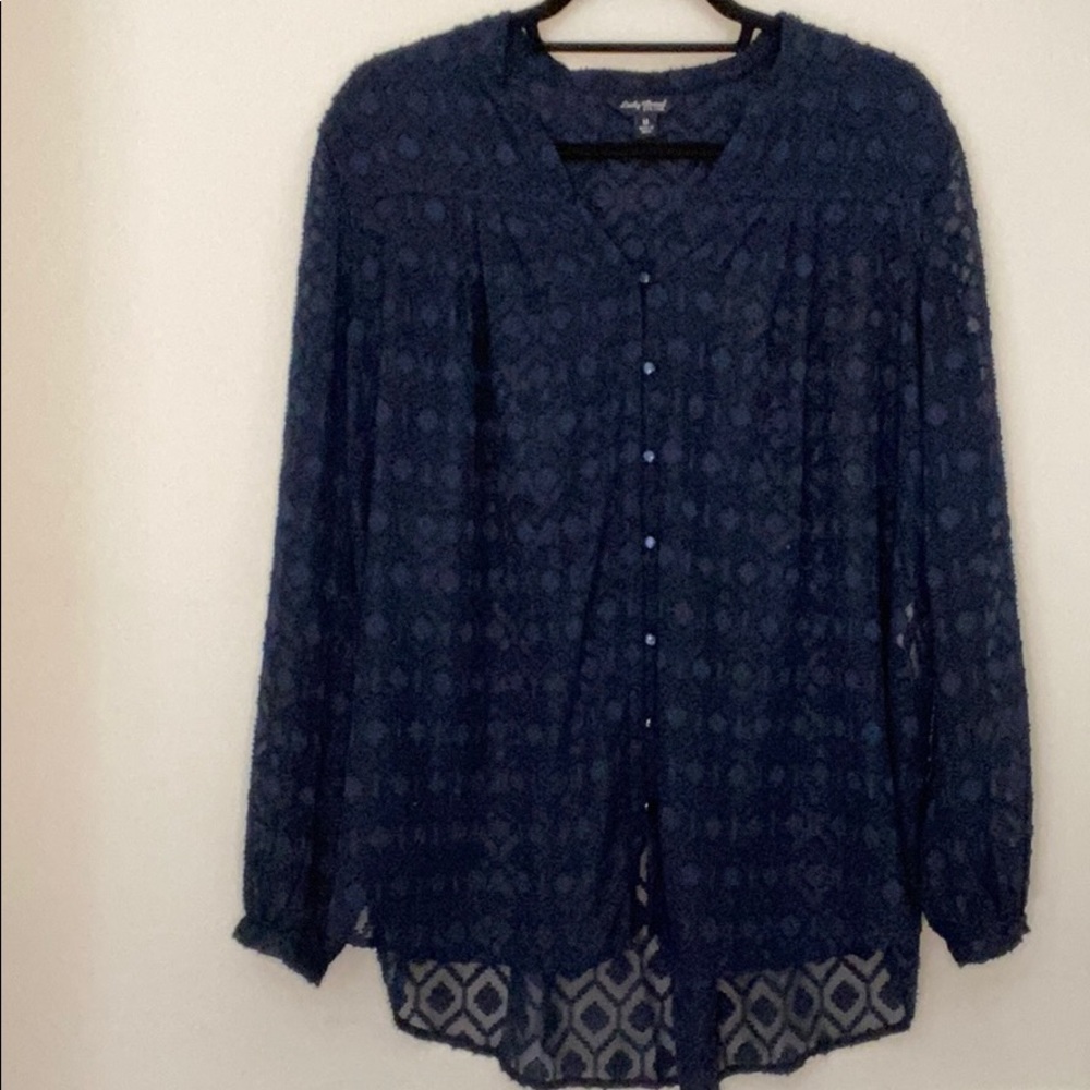Lucky Brand sheer blue blouse